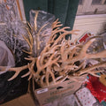 Lot 301 - Box Lot of Assorted Christmas Antlers Plastic