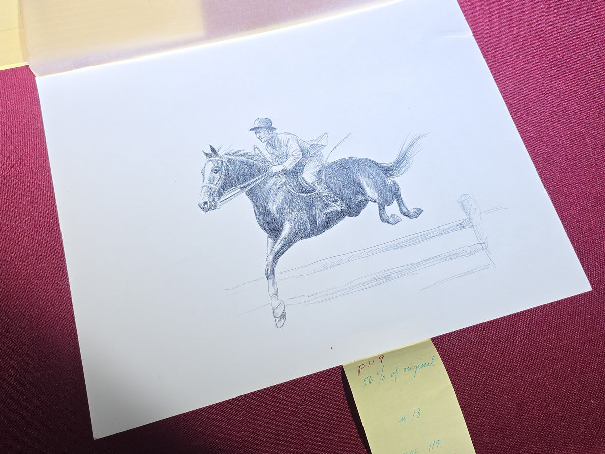 Grouping of Six Vintage Original Pen and Ink Drawings on Paper by C.W. Anderson, Equestrian Subjects with Verso Notations for Book Publication