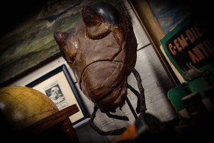 12/12/2024 AUCTION PHOTO GALLERY