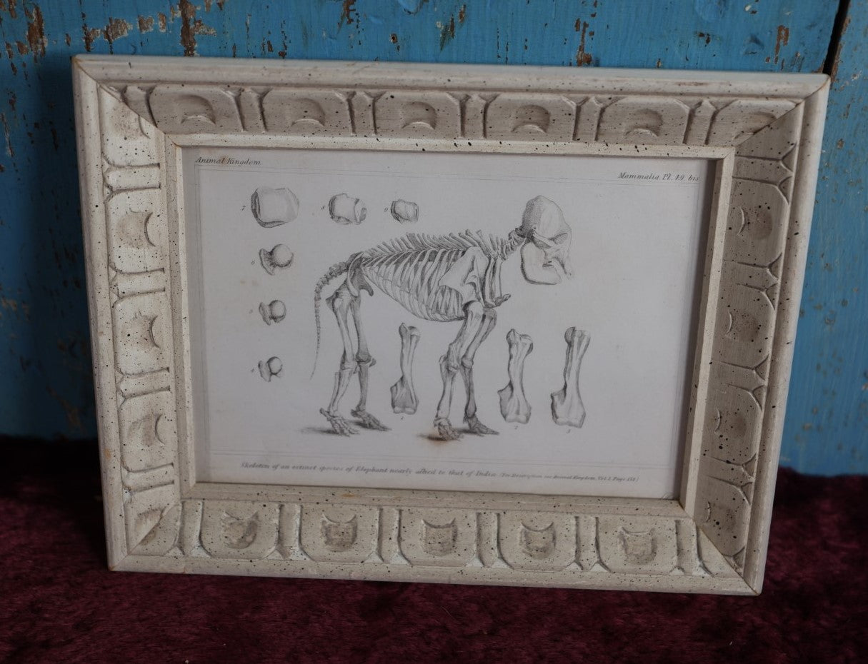 8/1/2024 AUCTION PHOTO GALLERY