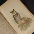 Lot 041 - "The Hawks and Owls of the United States in Their Relation to Agriculture" Antique Illustrated Ornithology Book by A.K. Fisher, M.D., U.S. Department of Agriculture Bulletin no. 3, Published by Government Printing Office, Washington, 1893
