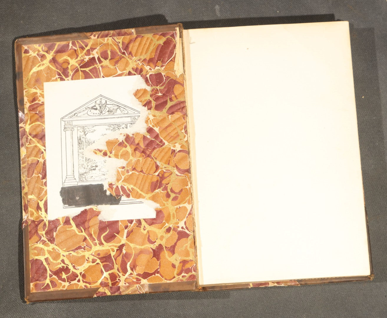 "Poems of Shelley" Antique Illustrated Book by Percy Bysshe Shelley, Half-Leather Binding with Marbled Boards, Title Page Absent