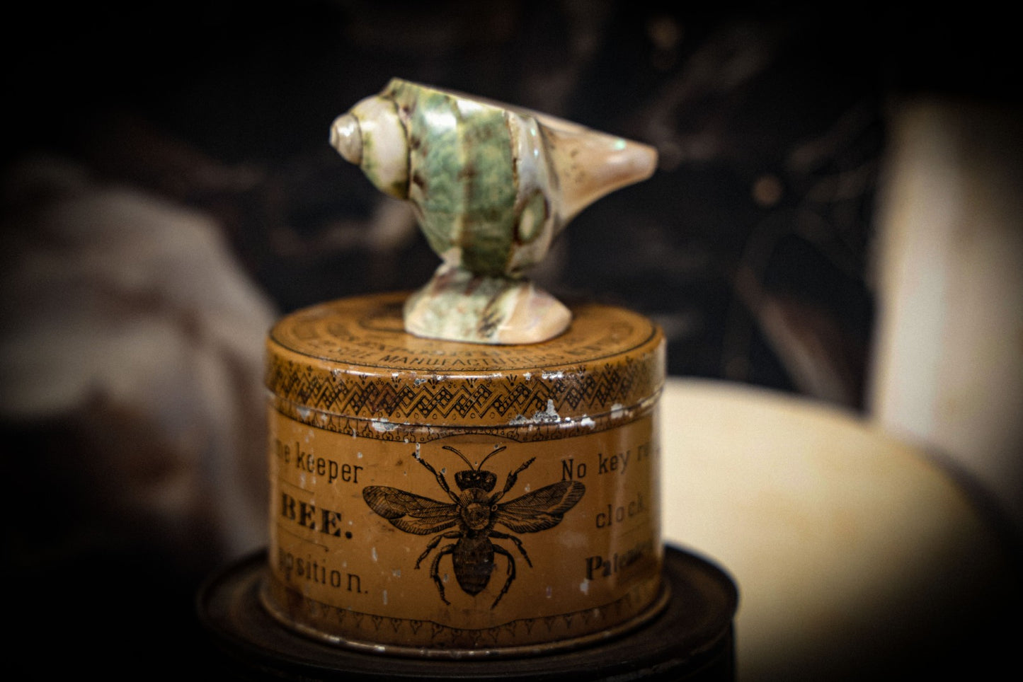2/6/2025 AUCTION PHOTO GALLERY