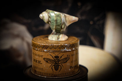 2/6/2025 AUCTION PHOTO GALLERY
