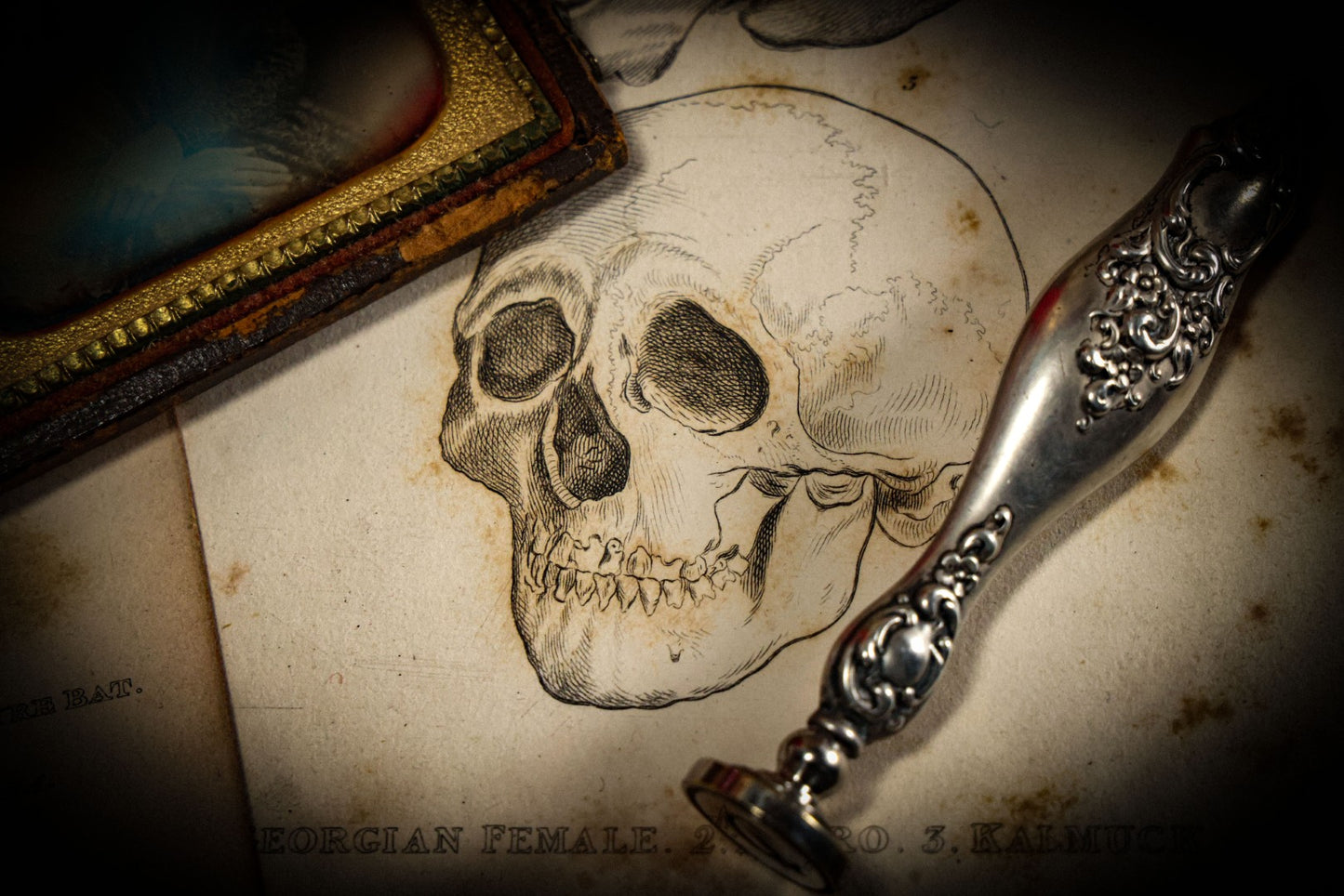 2/13/2025 AUCTION PHOTO GALLERY
