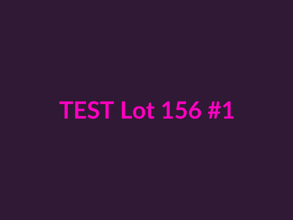 Lot 156 - Collectible Wooden Level — photo 1