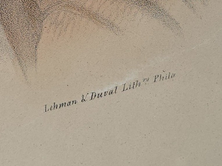 Antique Hand-Colored Lithograph Print, "Esh-Tah-Hum-Leah, or the Sleepy Eye, A Sioux Chief," Painted by C.B. King, Lehman & Duval Lithographers, Published by E.C. Biddle, Philadelphia, Pennsylvania, 1836