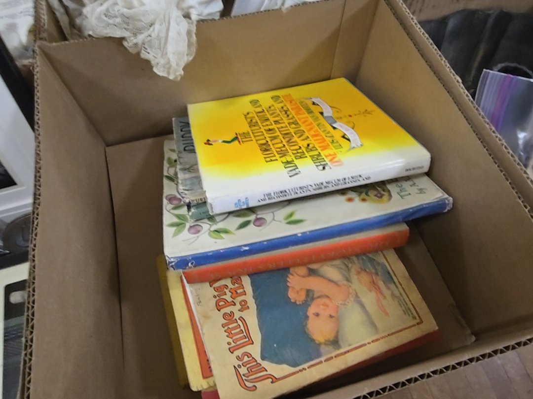 box lot of children's books