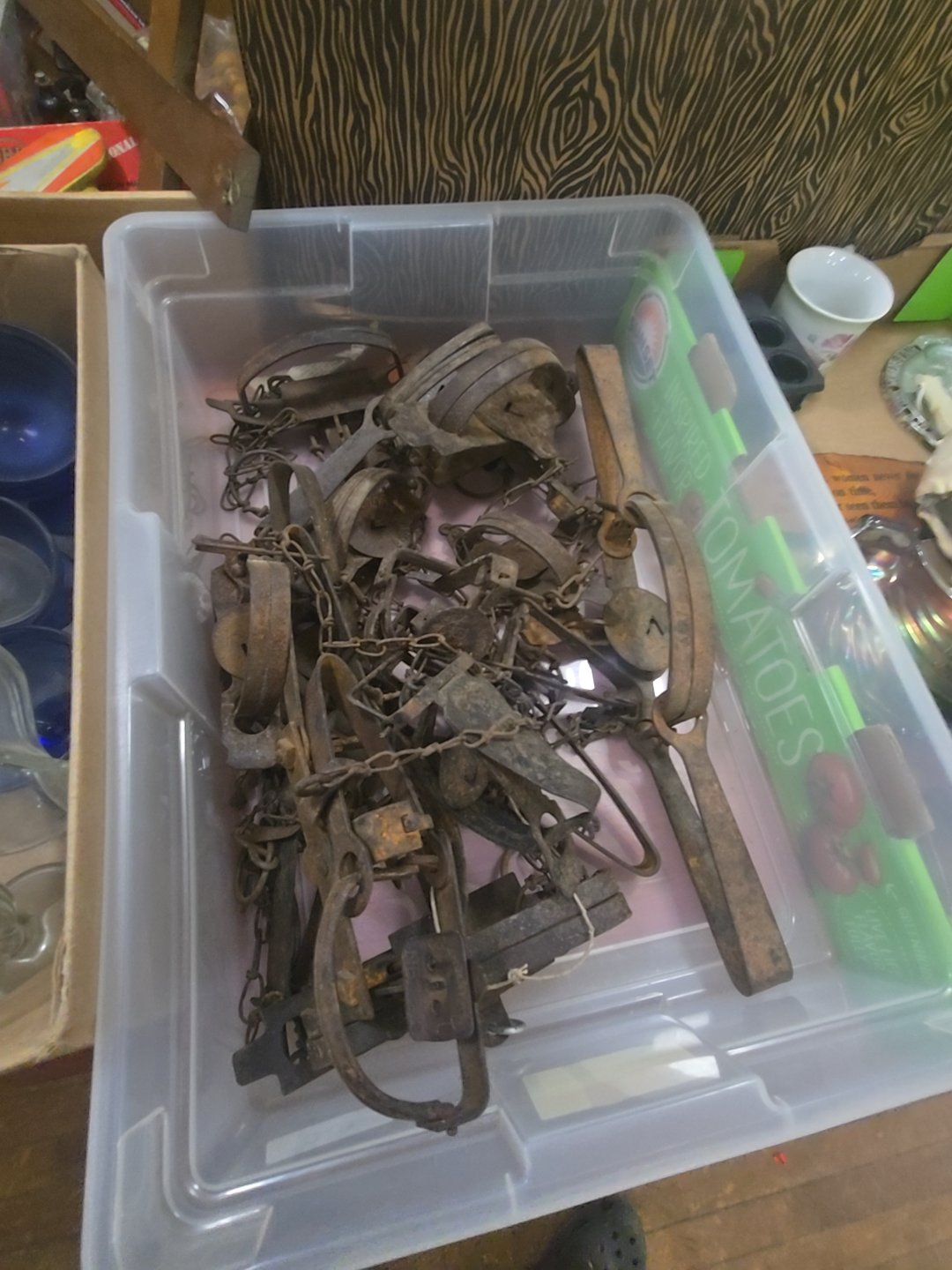 large box lot of animal traps
