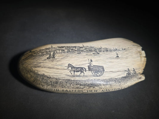 Antique Scrimshaw Whale Tooth engraved with "South Eastern View Nantucket, Mass 1838" Harbor Scene, Town Waterfront, Sailing Vessels, Church Steeples, and Horse-Drawn Cart