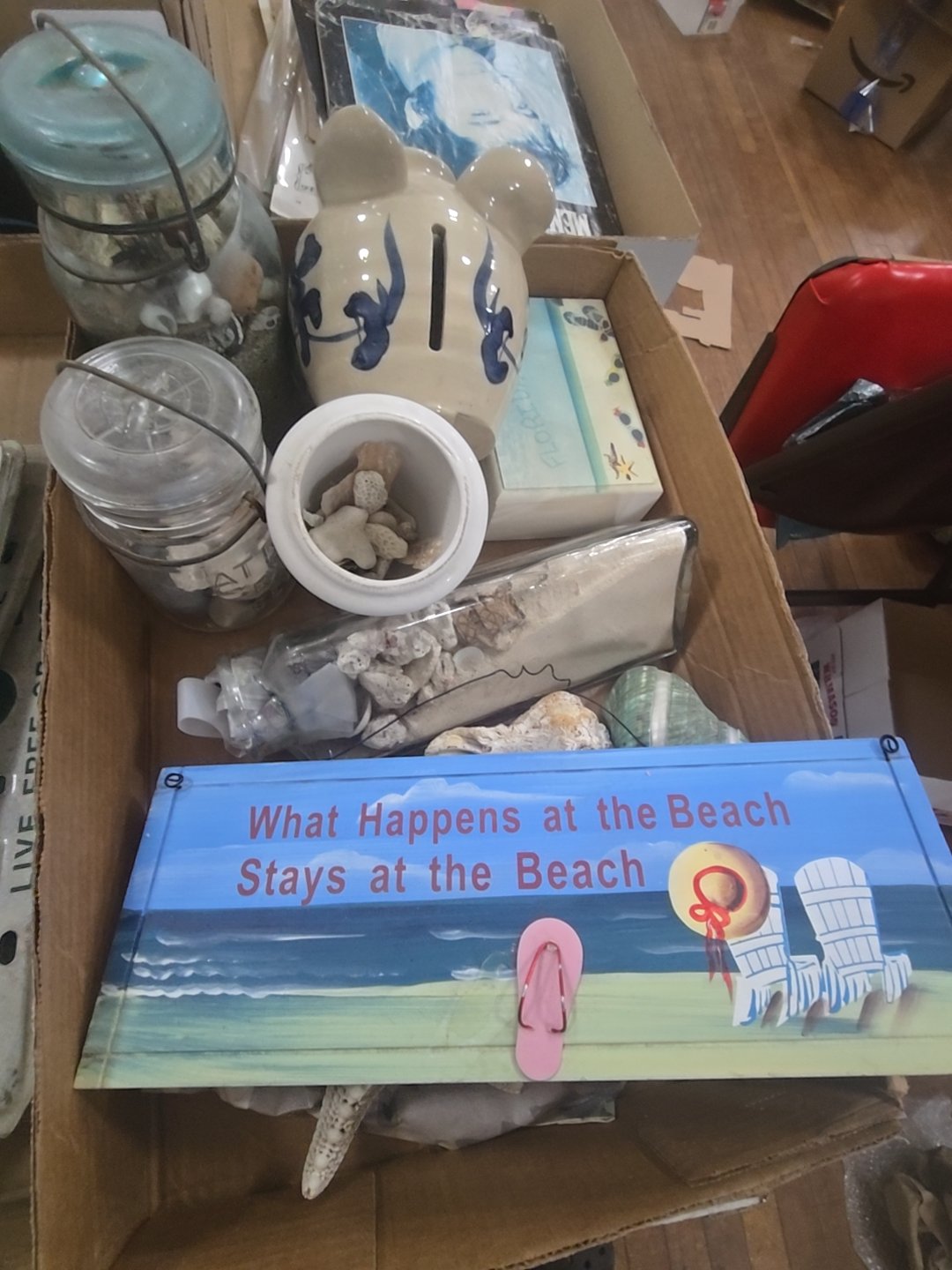 box lot of seashells and beach related