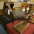 Lot 163 - Vintage Taxidermy Wild Turkey Mount on Wood Base, 32" L x 26-1/4" H