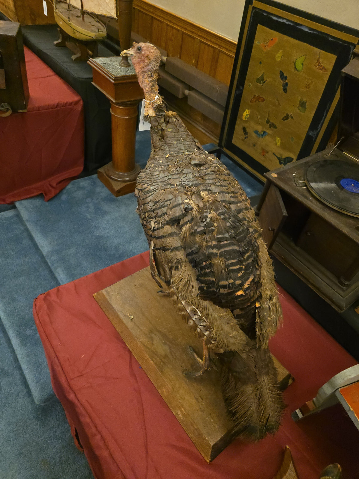 Vintage Taxidermy Wild Turkey Mount on Wood Base