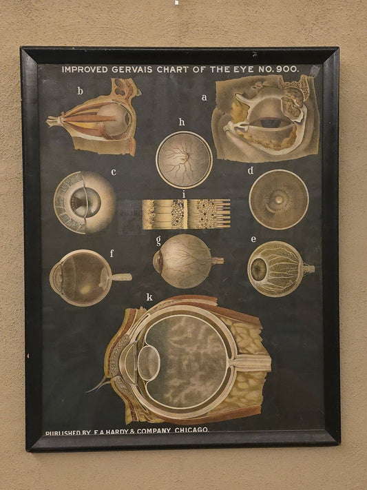 Antique Framed "Improved Gervais Chart of the Eye No. 900" Anatomical Eye Chart, Published by F. A. Hardy & Company, Chicago, Illinois