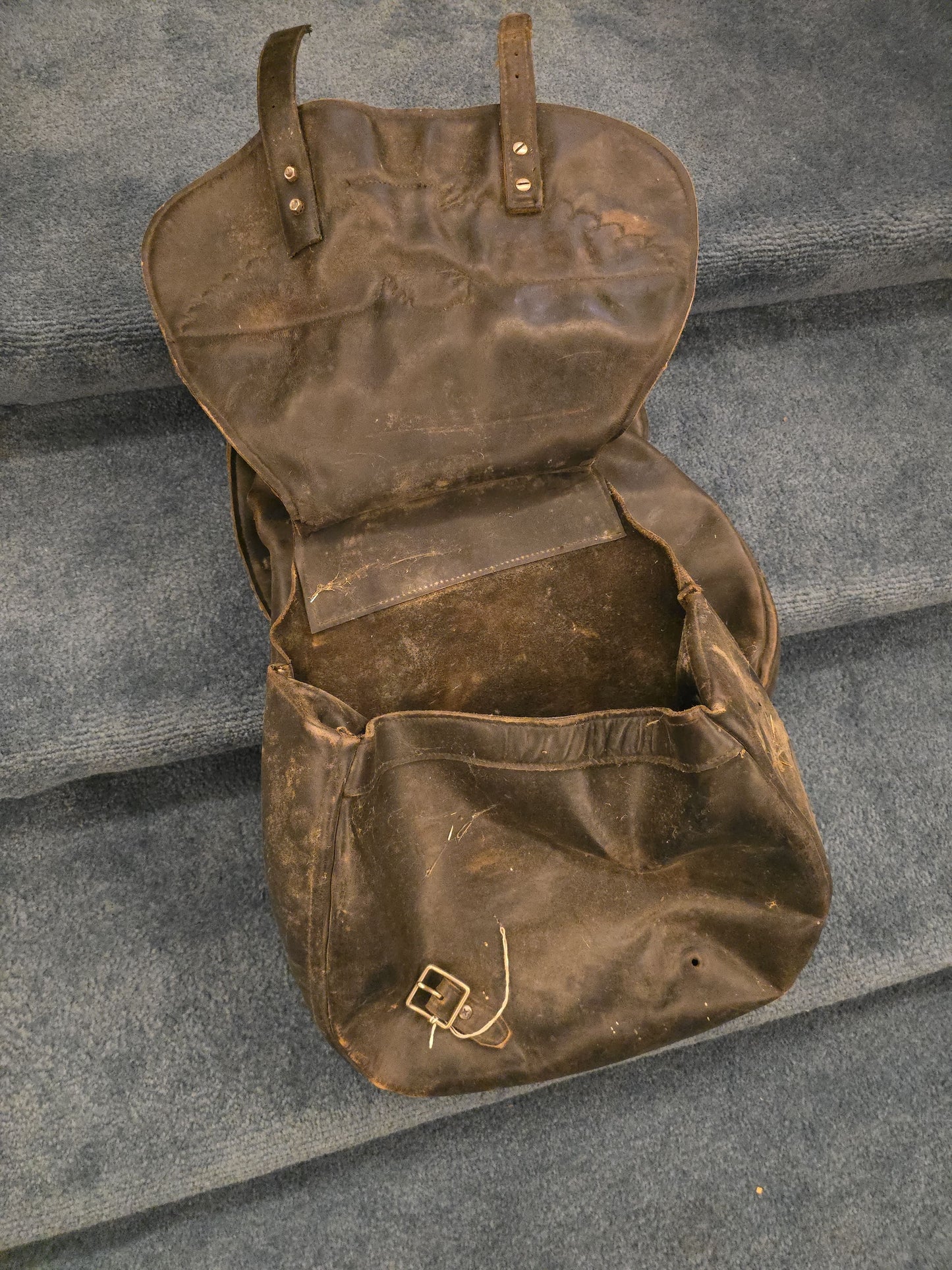 Vintage Leather Saddlebag with Snakeskin Eagle Motif and Braided Trim