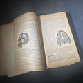 Lot 059 - "The People's Common Sense Medical Adviser in Plain English" Antique Medical Book by R. V. Pierce, M.D., Fortieth Edition, Published by World's Dispensary Printing Office and Bindery, Buffalo, New York, 1885