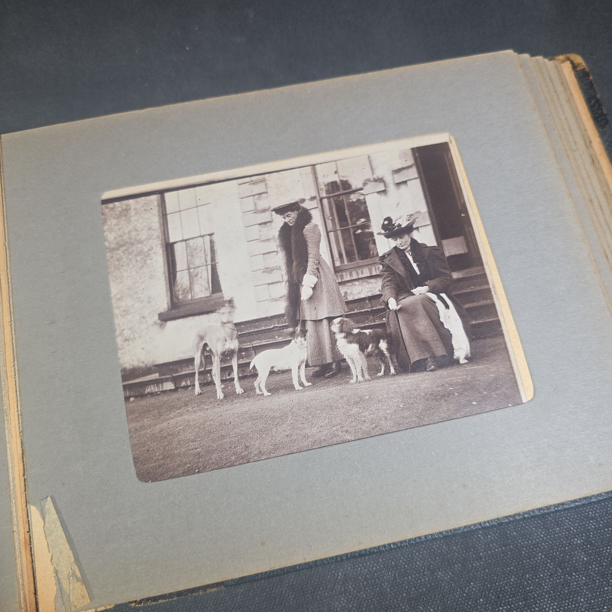 Antique Photo Album of British India Photographs including Dogs, Colonial Architecture, Encampments, and Monuments