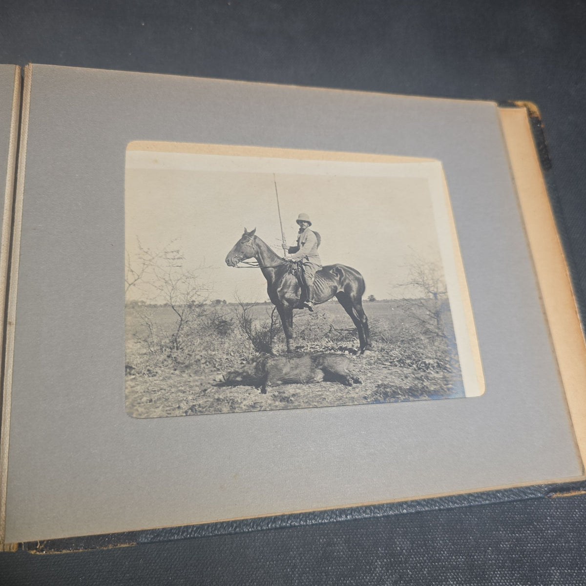 Antique Photo Album of British India Photographs including Dogs, Colonial Architecture, Encampments, and Monuments
