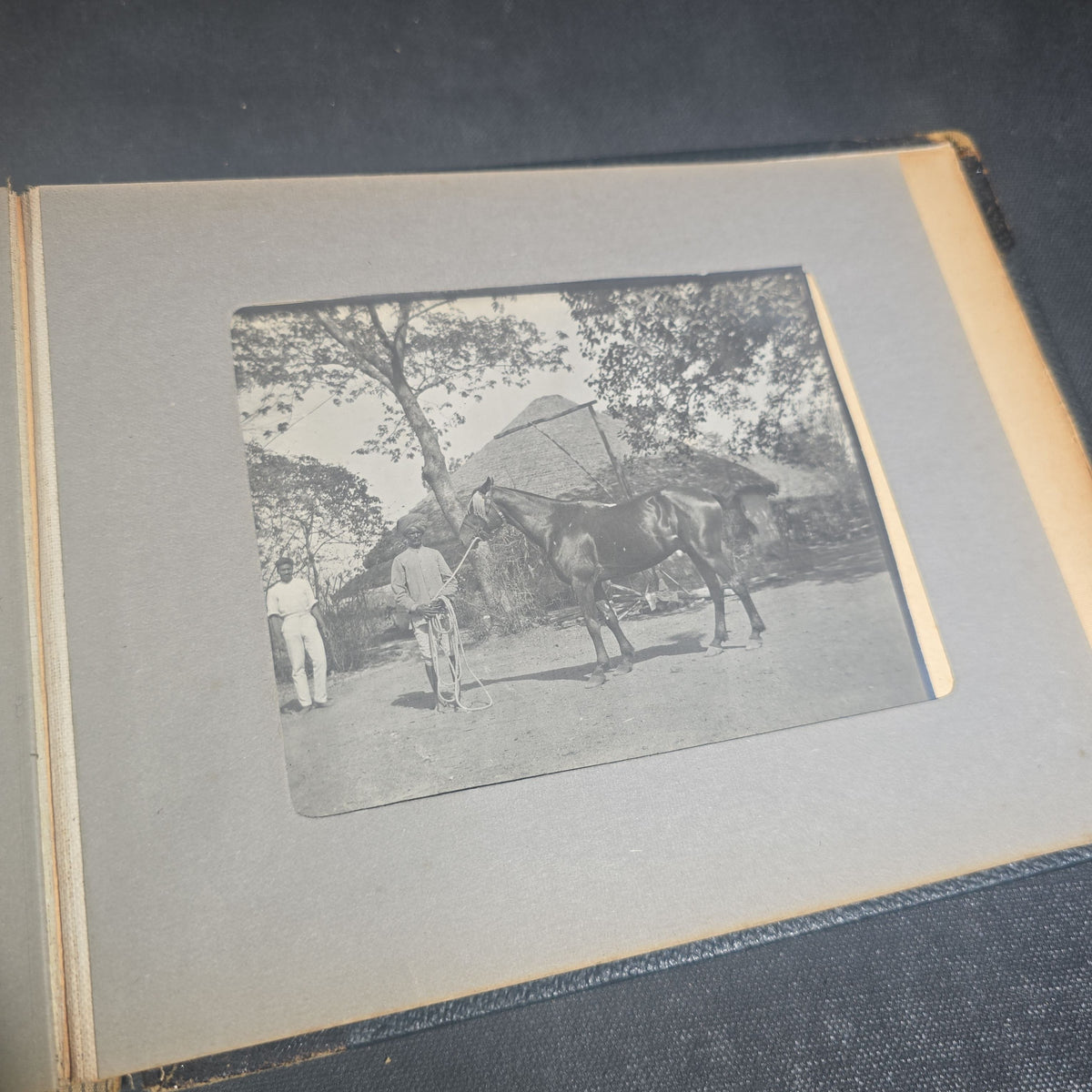 Antique Photo Album of British India Photographs including Dogs, Colonial Architecture, Encampments, and Monuments