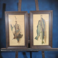 Lot 034 - Pair of Antique Framed Game Still Life Prints, "Widgeon & Partridges" By Helena Maguire and "Bass and Mackerel" By Frank Airey, 16-5/8" W x 28" H each