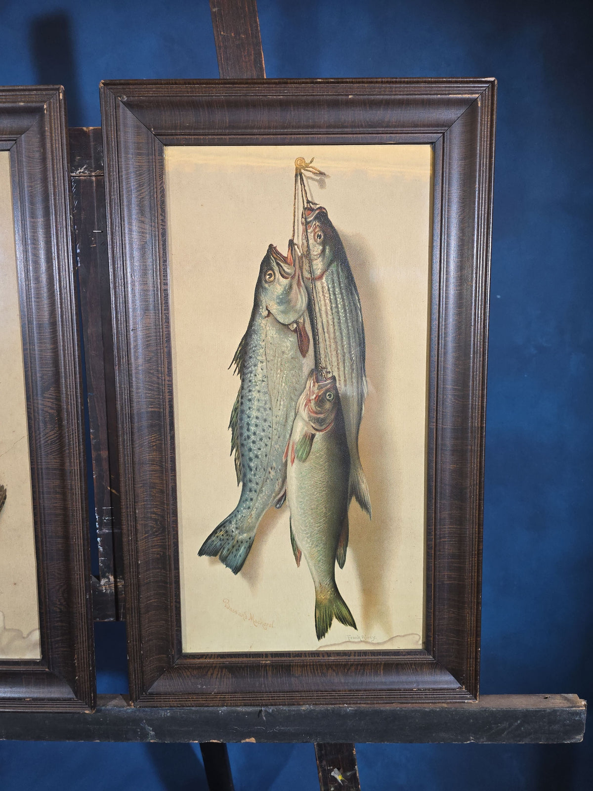 Pair of Antique Framed Game Still Life Prints, "Widgeon & Partridges" by Helena Maguire and "Bass and Mackerel" by Frank Airey