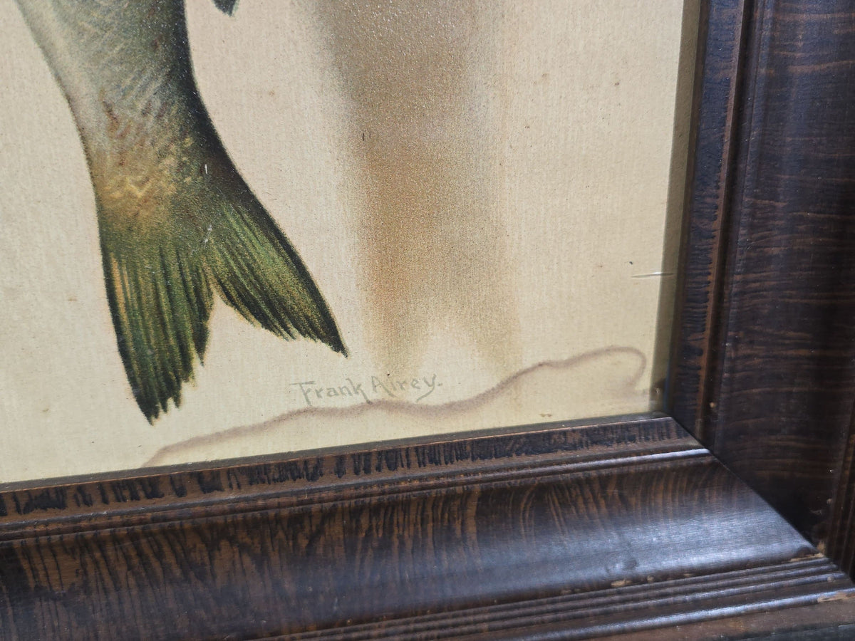 Pair of Antique Framed Game Still Life Prints, "Widgeon & Partridges" by Helena Maguire and "Bass and Mackerel" by Frank Airey