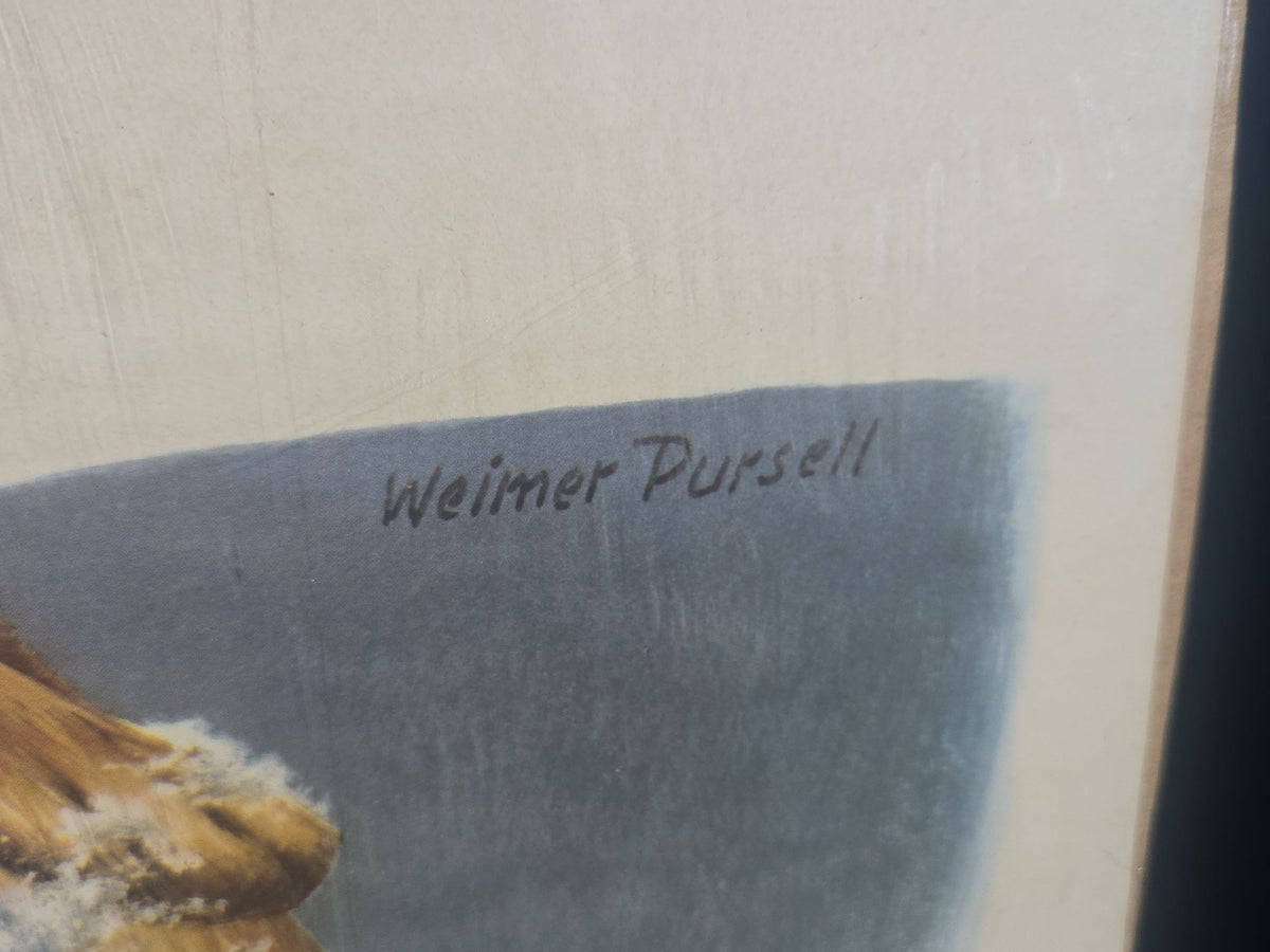 Vintage Western Winchester Advertising Lithograph Poster, Rabbit Hunting Scene by Weimer Pursell, 1955