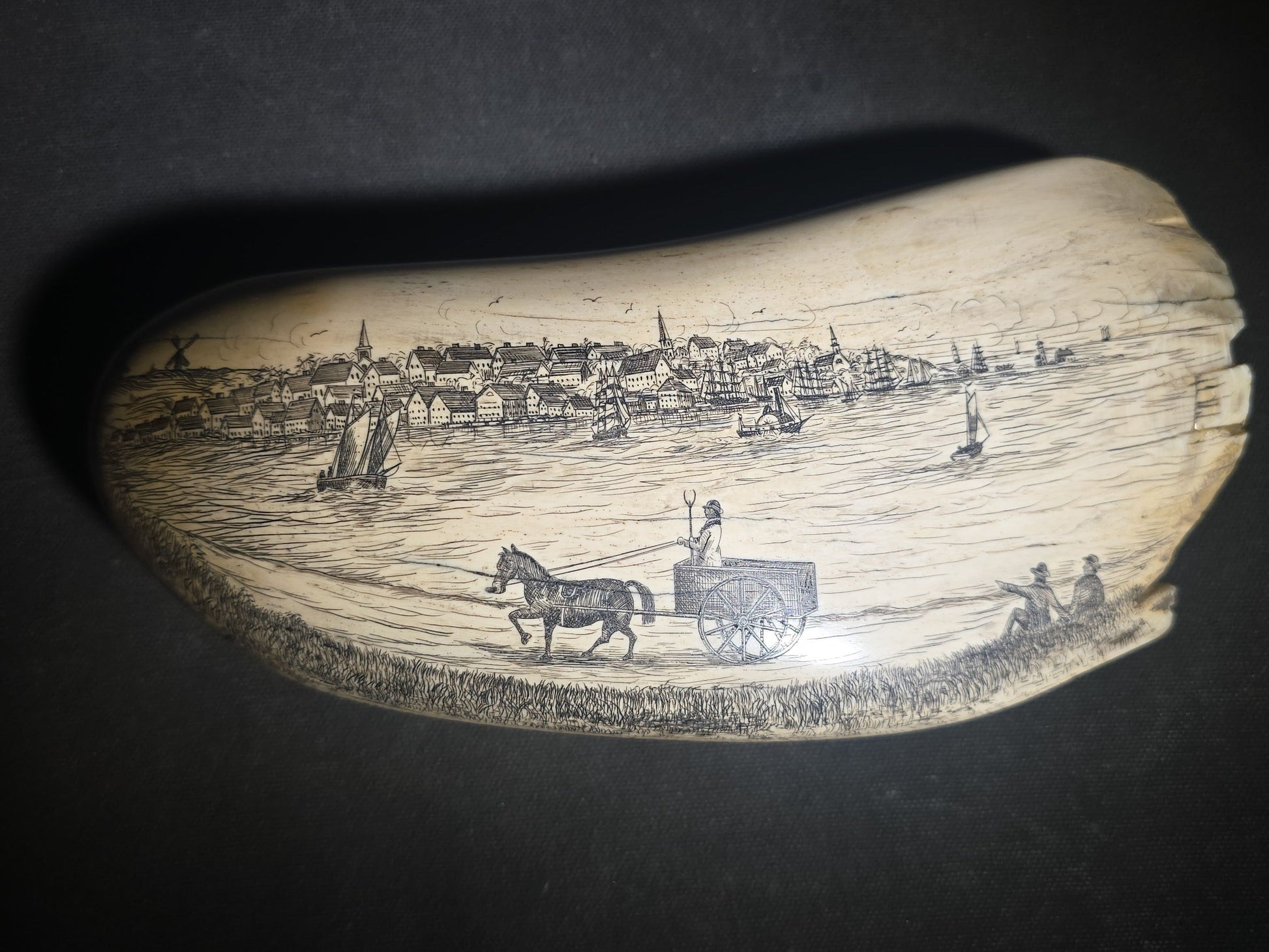 Antique Scrimshaw Whale Tooth engraved with "South Eastern View Nantucket, Mass 1838" Harbor Scene, Town Waterfront, Sailing Vessels, Church Steeples, and Horse-Drawn Cart