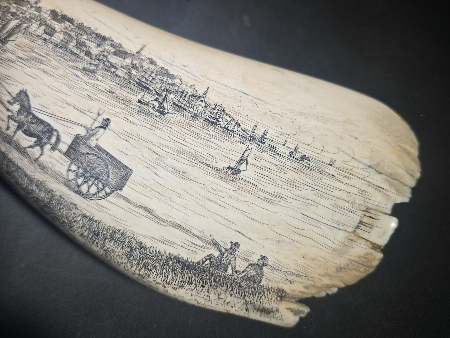 Antique Scrimshaw Whale Tooth engraved with "South Eastern View Nantucket, Mass 1838" Harbor Scene, Town Waterfront, Sailing Vessels, Church Steeples, and Horse-Drawn Cart