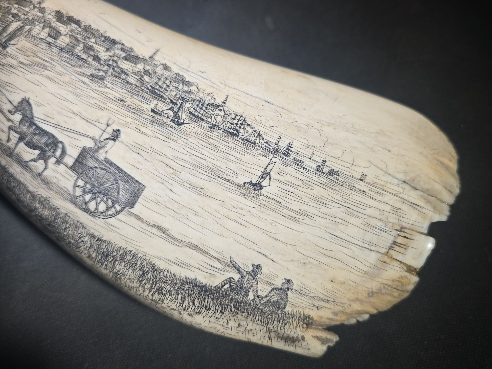 Antique Scrimshaw Whale Tooth engraved with "South Eastern View Nantucket, Mass 1838" Harbor Scene, Town Waterfront, Sailing Vessels, Church Steeples, and Horse-Drawn Cart