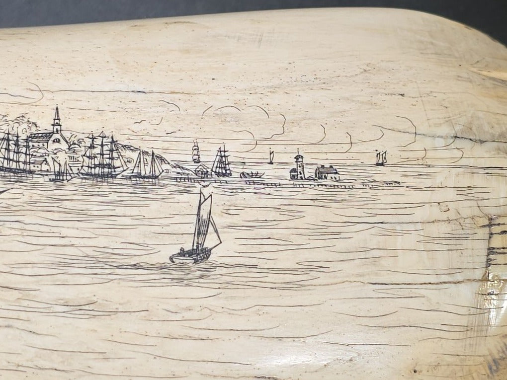 Antique Scrimshaw Whale Tooth engraved with "South Eastern View Nantucket, Mass 1838" Harbor Scene, Town Waterfront, Sailing Vessels, Church Steeples, and Horse-Drawn Cart