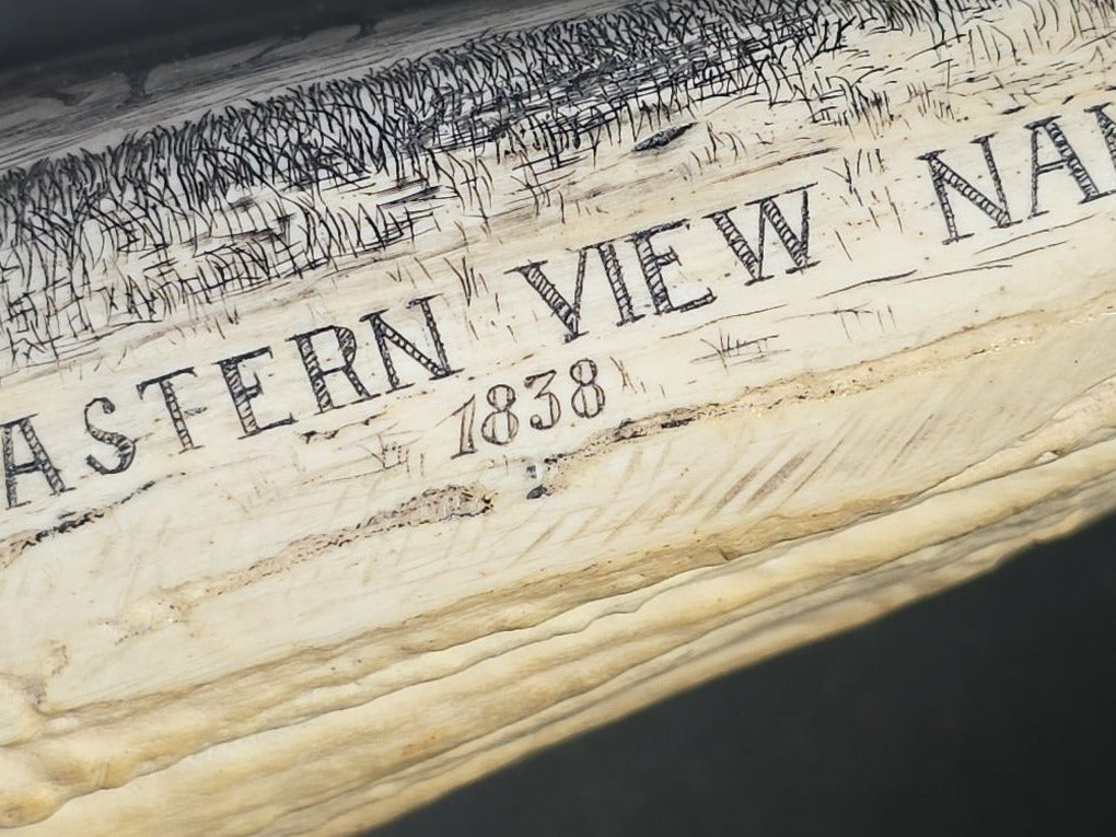 Antique Scrimshaw Whale Tooth engraved with "South Eastern View Nantucket, Mass 1838" Harbor Scene, Town Waterfront, Sailing Vessels, Church Steeples, and Horse-Drawn Cart