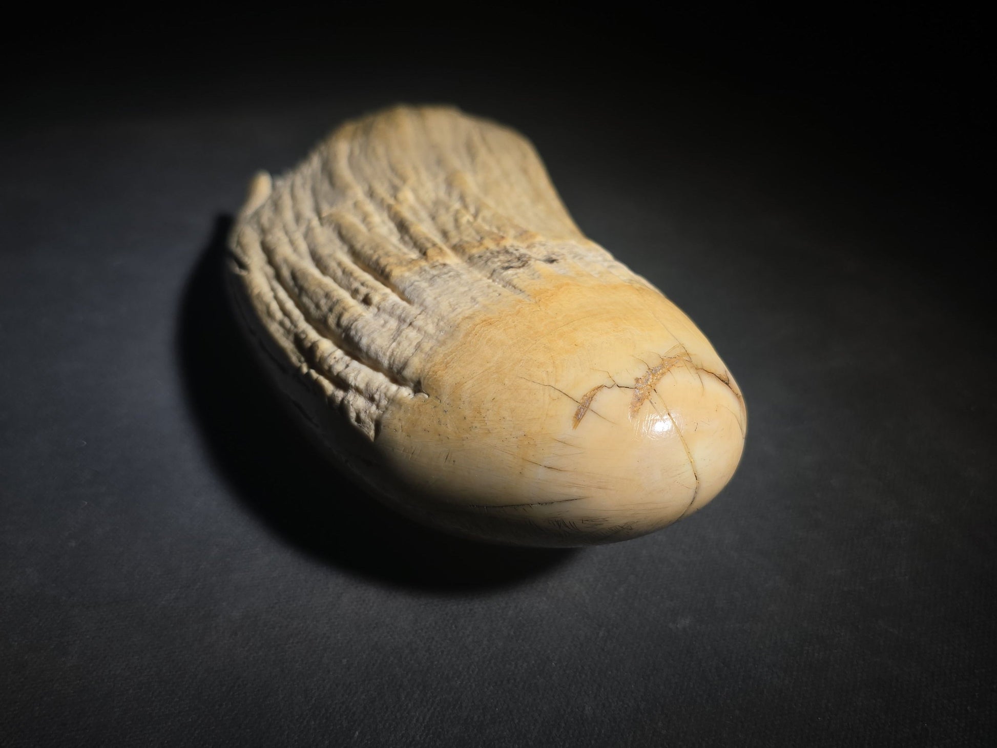 Antique Scrimshaw Whale Tooth engraved with "South Eastern View Nantucket, Mass 1838" Harbor Scene, Town Waterfront, Sailing Vessels, Church Steeples, and Horse-Drawn Cart