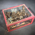 Lot 003 - Antique Victorian Hair Work Floral Arrangement Familial Keepsake in Glass and Fabric Display Box with Beaded Accents, 5" L x 4" W