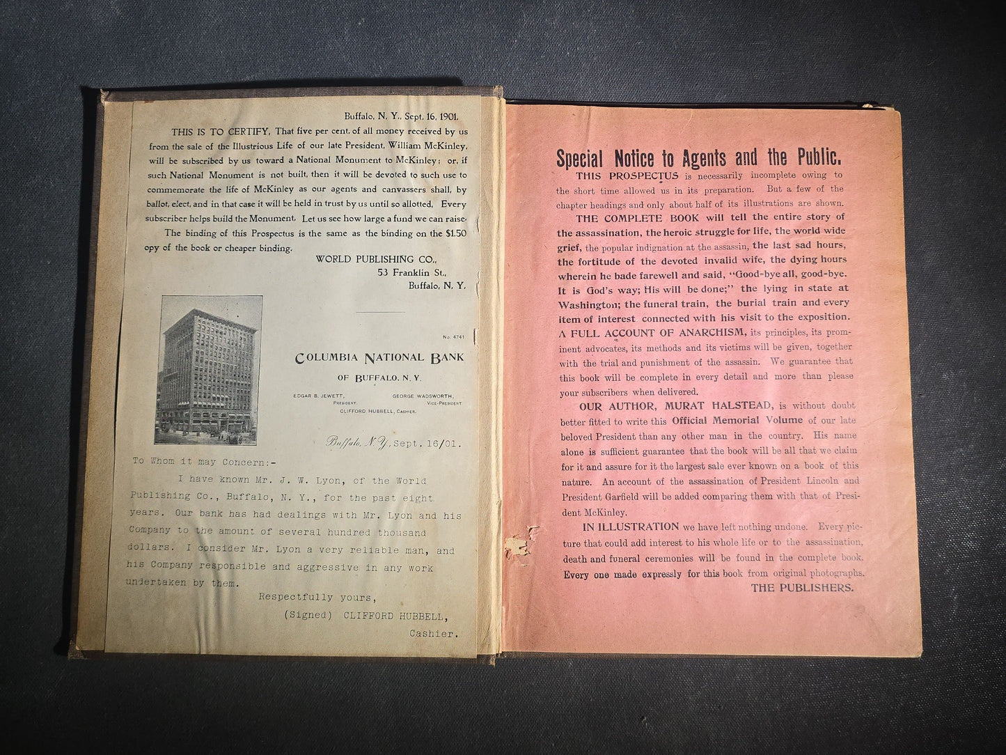 "The Illustrious Life of William McKinley, Our Martyred President" Antique Salesman's Dummy Prospectus by Murat Halstead, Published by World Publishing Co., Buffalo, New York, 1901