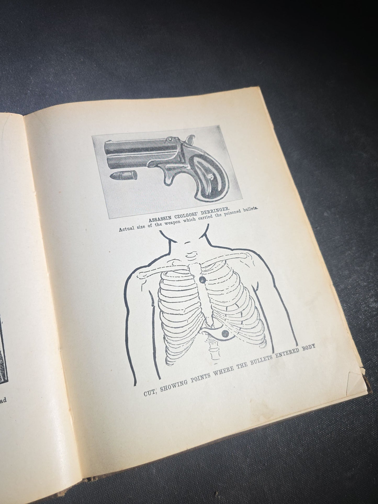 "The Illustrious Life of William McKinley, Our Martyred President" Antique Salesman's Dummy Prospectus by Murat Halstead, Published by World Publishing Co., Buffalo, New York, 1901