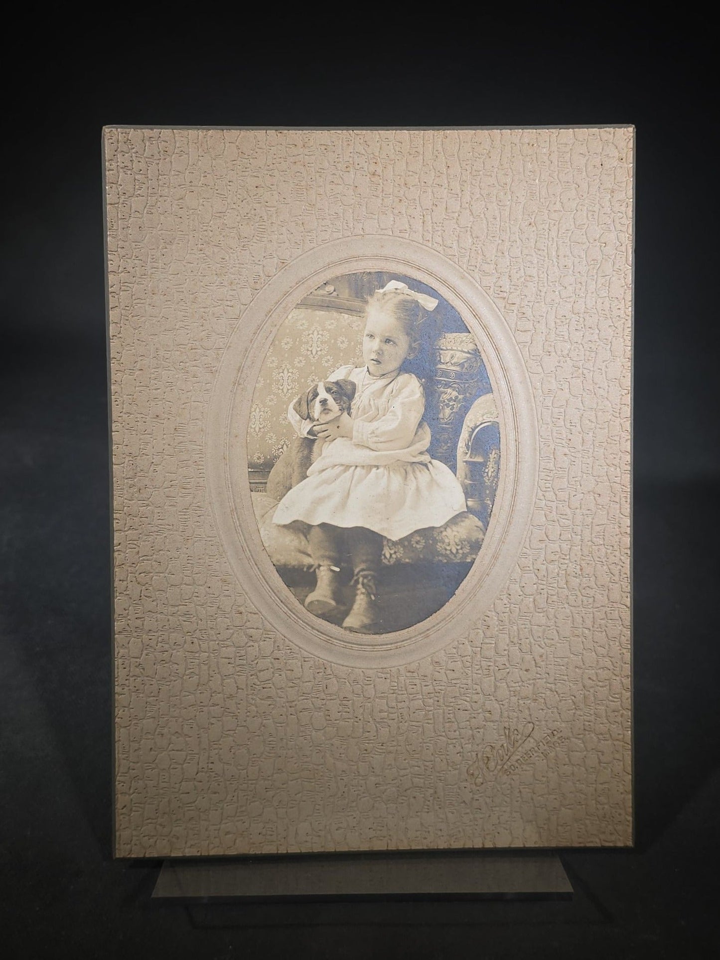 Antique Board-Mounted Photograph of a Young Girl Holding a Puppy, Photographed by Steele, South Deerfield, Massachusetts