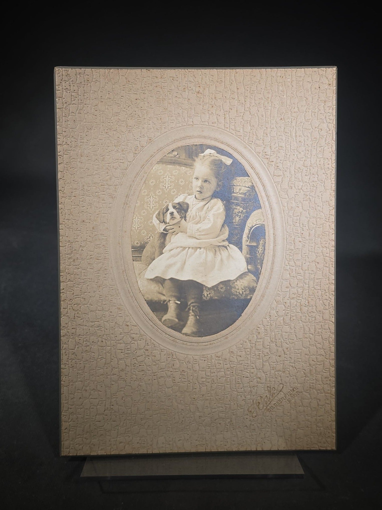 Antique Board-Mounted Photograph of a Young Girl Holding a Puppy, Photographed by Steele, South Deerfield, Massachusetts