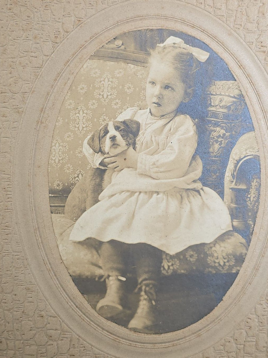 Antique Board-Mounted Photograph of a Young Girl Holding a Puppy, Photographed by Steele, South Deerfield, Massachusetts