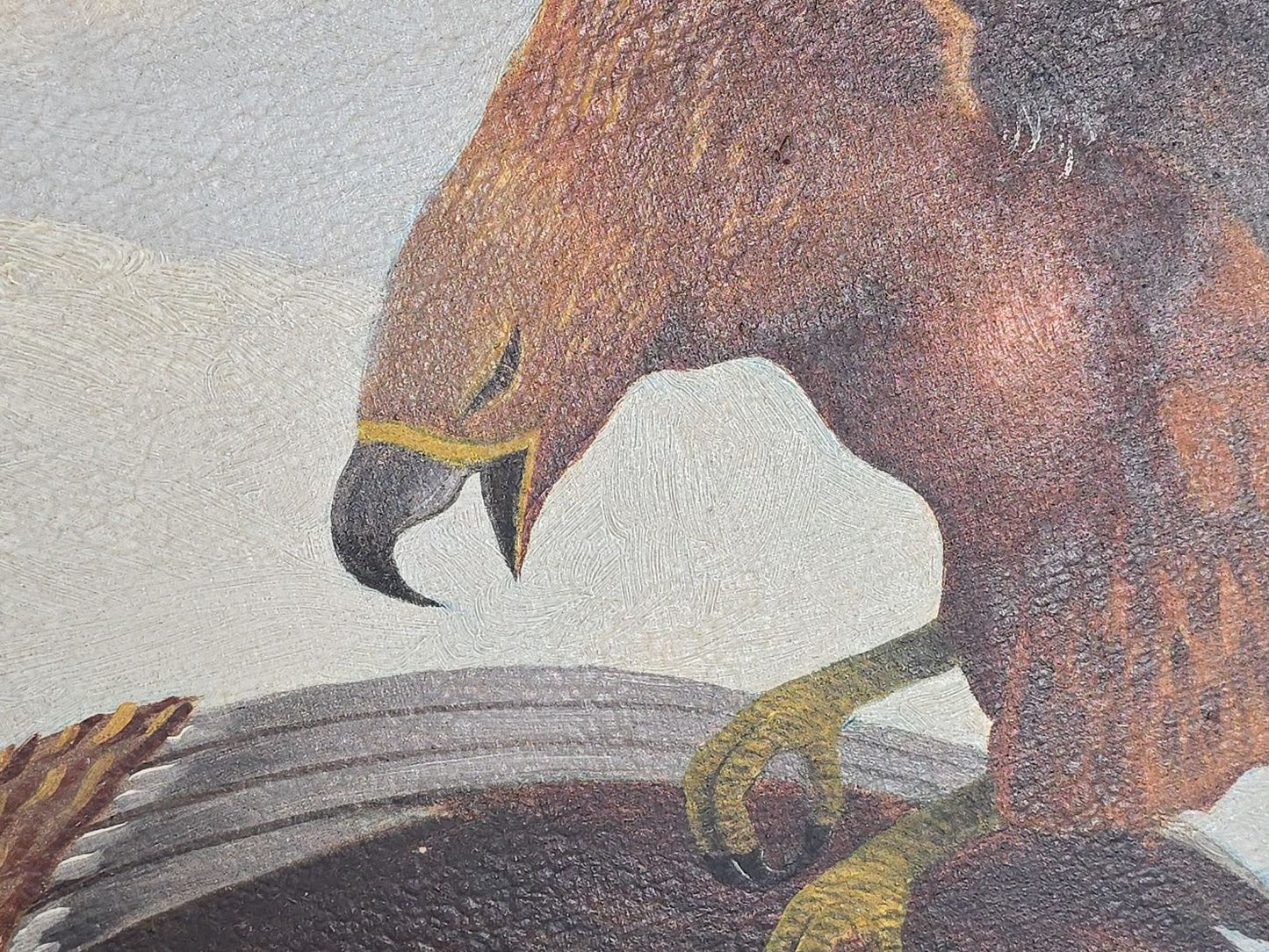 Vintage Oil Painting on Board, Two Eagles Attacking Prey on a Rocky Coastline, Signed J.L. Weideman, Dated 1941