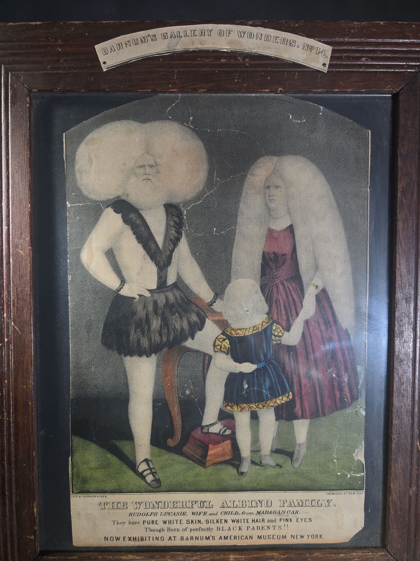 Antique "The Wonderful Albino Family" Hand-Colored Lithograph Print, Barnum's Gallery of Wonders No. 14, Published by Currier & Ives, 152 Nassau Street, New York, Framed