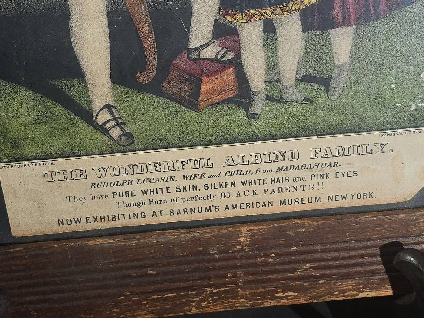 Antique "The Wonderful Albino Family" Hand-Colored Lithograph Print, Barnum's Gallery of Wonders No. 14, Published by Currier & Ives, 152 Nassau Street, New York, Framed