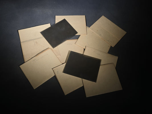 Grouping of Nine Antique Glass Plate Photographic Negatives Including Portraits Identified as N.K. Reed, Storefront with Horse and Carriage, Beekeeping Setup, Residence, and Re-Photographed Tintypes and C.D.V.s