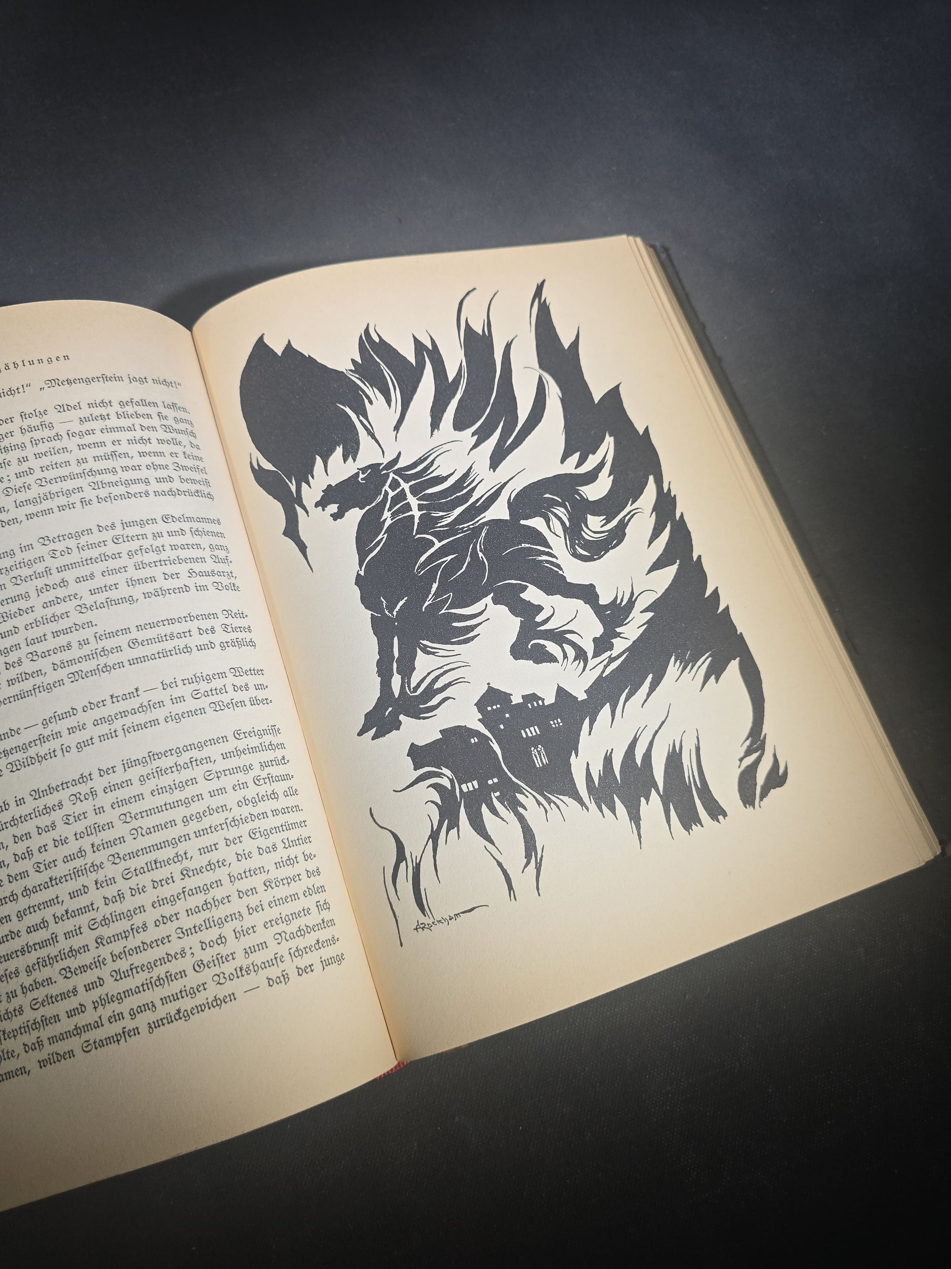 "Geheimnisvolle und Phantastische Erzahlungen" ("Mysterious and Fantastic Tales") Vintage German-Language Edgar Allan Poe Book, Illustrated by Arthur Rackham, Published by Deutsche Buch-Gemeinschaft, Berlin, Germany, 1930s