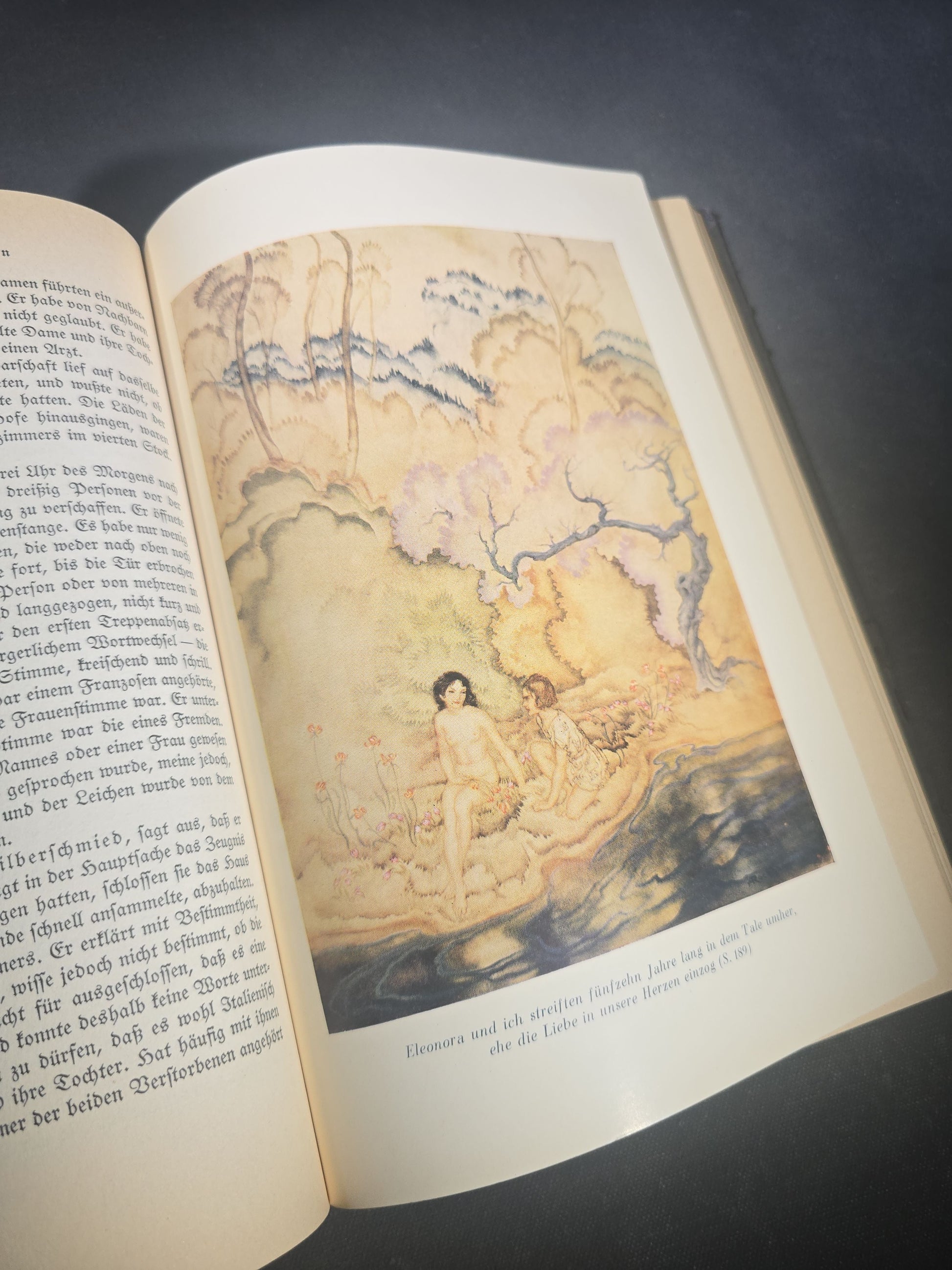 "Geheimnisvolle und Phantastische Erzahlungen" ("Mysterious and Fantastic Tales") Vintage German-Language Edgar Allan Poe Book, Illustrated by Arthur Rackham, Published by Deutsche Buch-Gemeinschaft, Berlin, Germany, 1930s