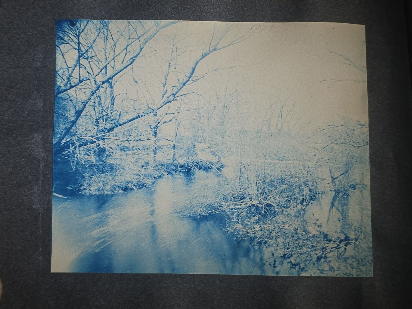 Antique Cyanotype Photo Album Containing Nine Cyanotype Photographs Including Comic Scene with Cow, Colonial House, River Rapids, Park Pond, and Orchard Landscape