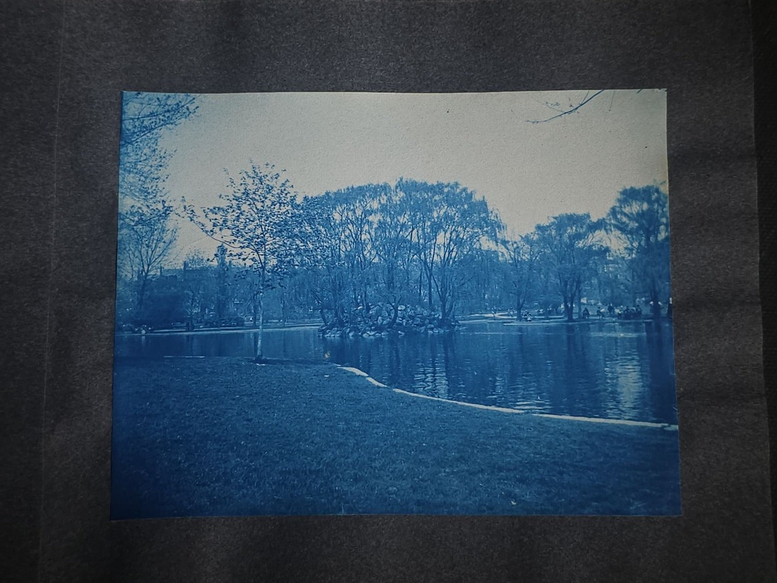 Antique Cyanotype Photo Album Containing Nine Cyanotype Photographs Including Comic Scene with Cow, Colonial House, River Rapids, Park Pond, and Orchard Landscape