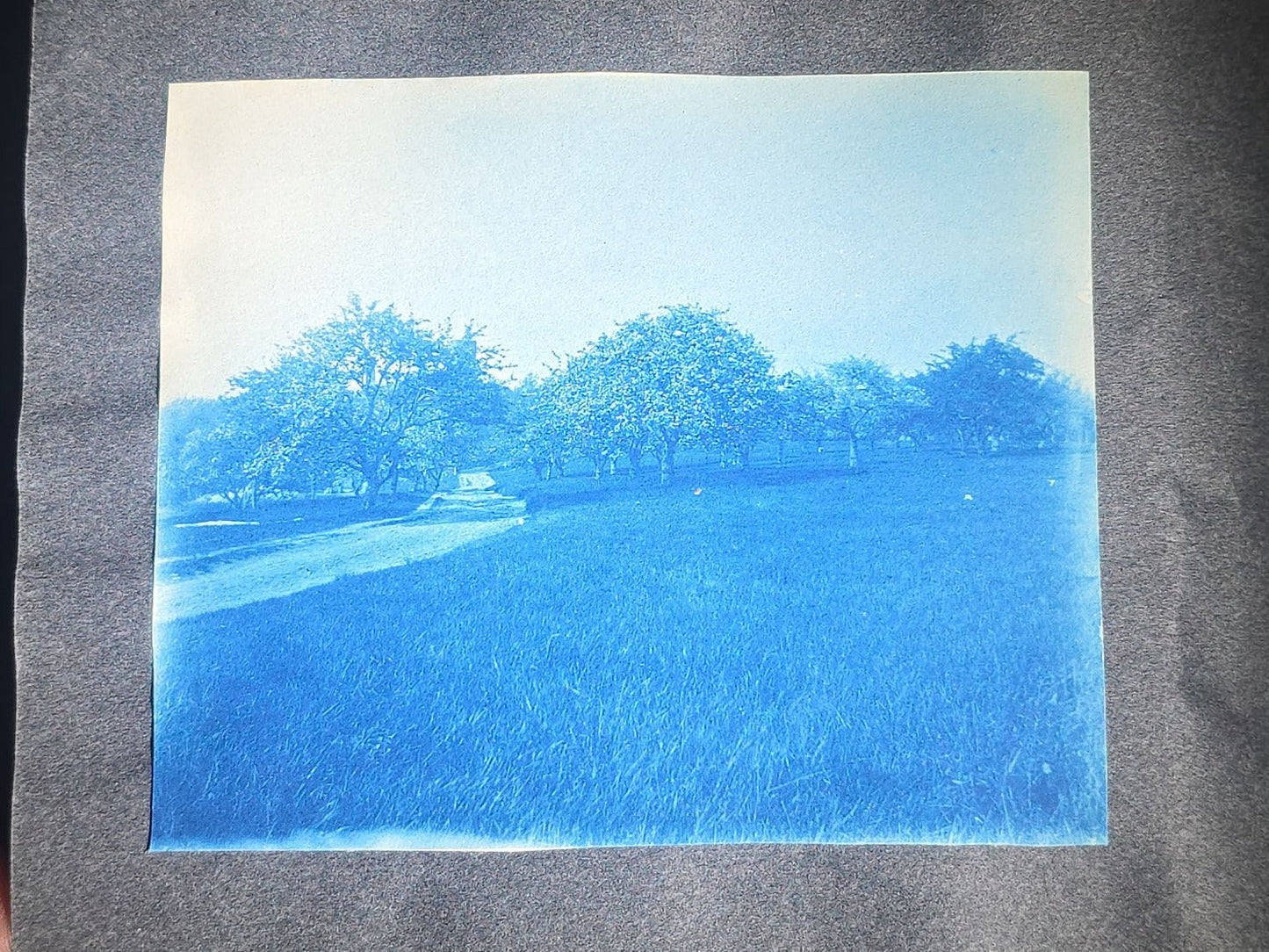 Antique Cyanotype Photo Album Containing Nine Cyanotype Photographs Including Comic Scene with Cow, Colonial House, River Rapids, Park Pond, and Orchard Landscape