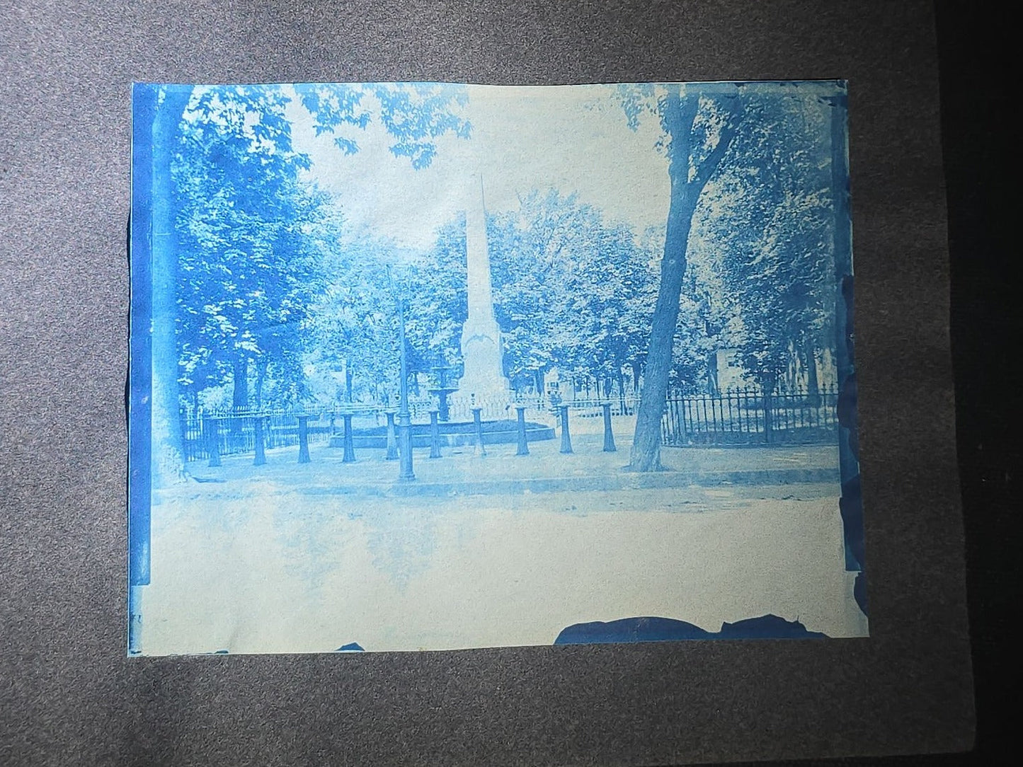 Antique Cyanotype Photo Album Containing Nine Cyanotype Photographs Including Comic Scene with Cow, Colonial House, River Rapids, Park Pond, and Orchard Landscape