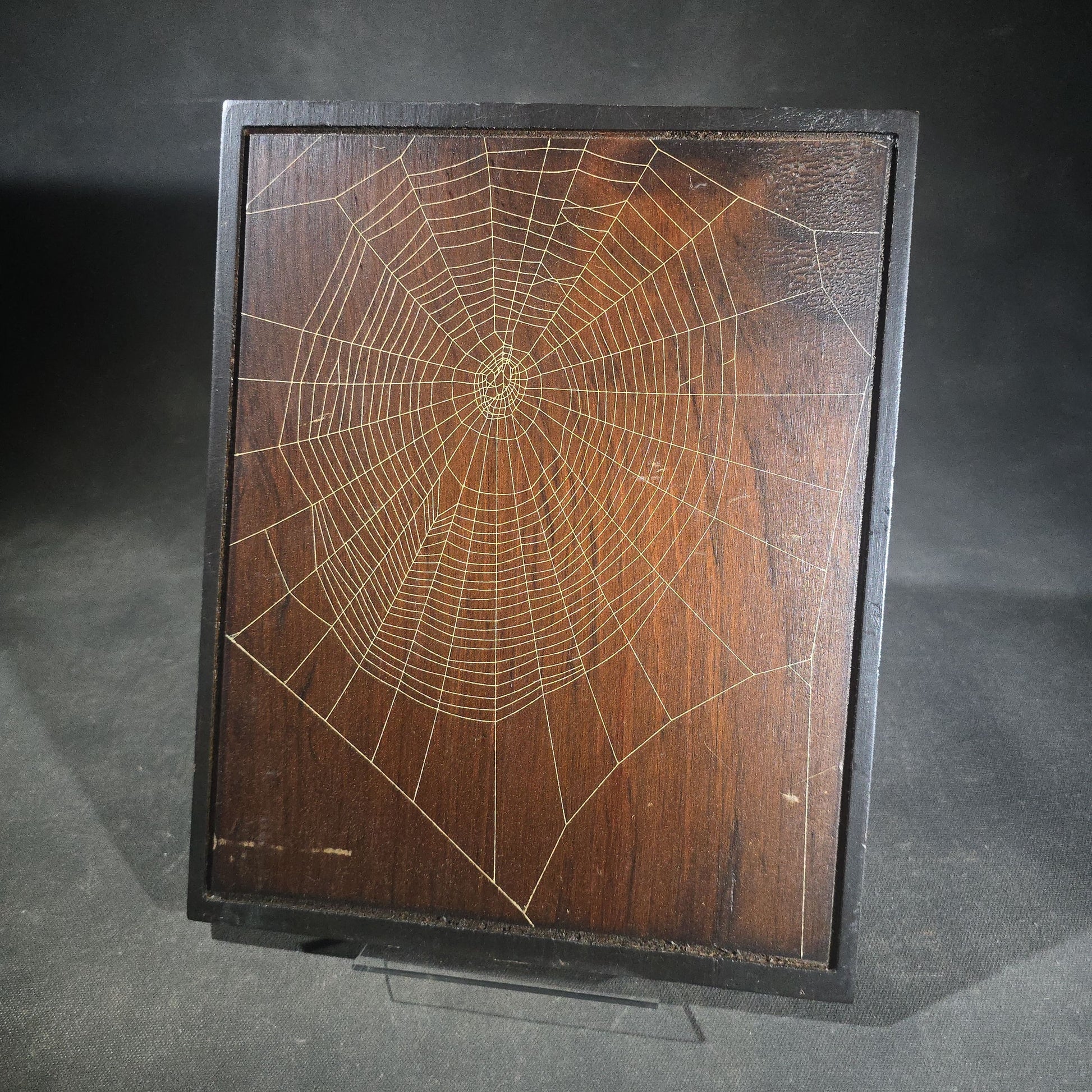 Vintage Real Orb Weaver Spider Web Mounted on Wood Plaque, Signed by Will Knight, Knight's Spider Web Farm, Williamstown, Vermont
